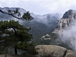 烟雨天柱山-10