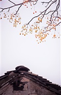 简