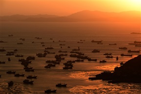 《赶海》