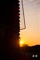夕阳下