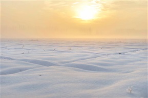老家下雪啦