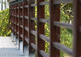 春光四溢
