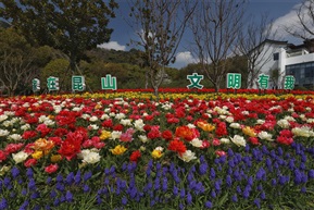 春到亭林园（3）