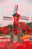 春满园