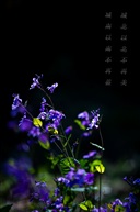 城南以南不再蓝