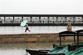 风雨童年