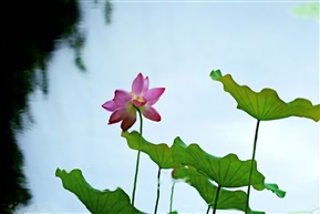 个