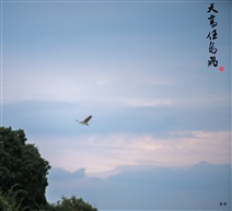 天高任鸟飞