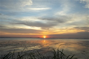出水夕阳