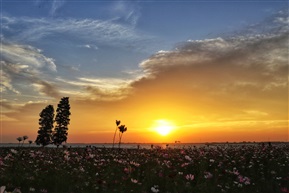 淀山湖夕照