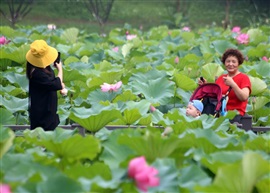 天伦之乐