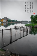 深山古刹落花间