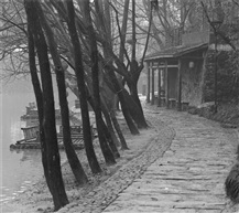 仙山湖印象（027）