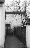 仙山湖印象（018）