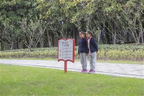学习文明你我他