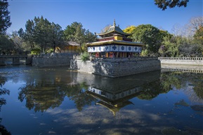 《净土之景》