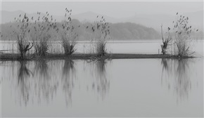 仙山湖印象（096）
