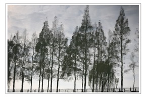 水墨画