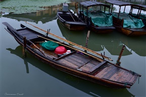 古镇渔船