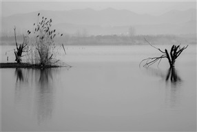 仙山湖印象（101）