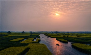 万亩油菜花