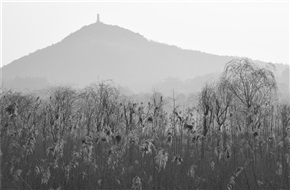 仙山湖印象（108）