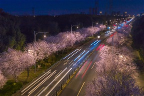 车水马龙春之夜