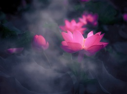 荷