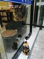 欢迎光临