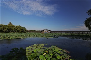 莲池新貌