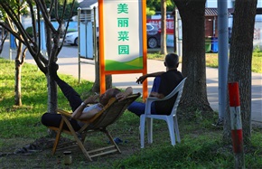 乘凉