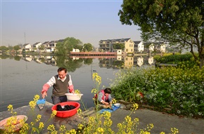 《水乡的早晨》