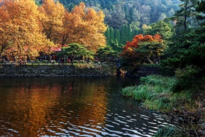 如琴湖-3