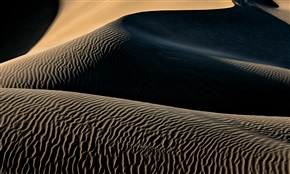 沙漠之丘