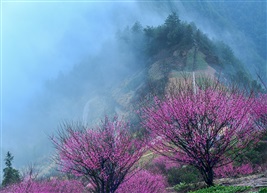 《大美江山》