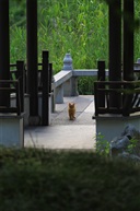 对峙