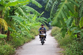 《田间小道》越南系类（59）