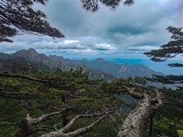 黄山的山